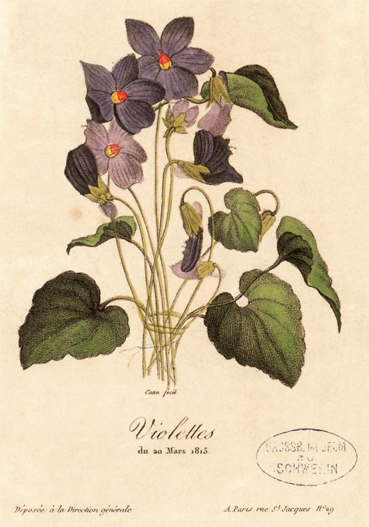 2025 Fleurs-a